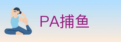 PA捕鱼 logo